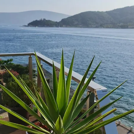 Apartments Maxhit Tivat Exterior photo