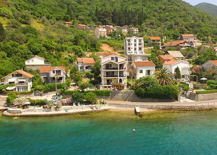 Apartments Maxhit