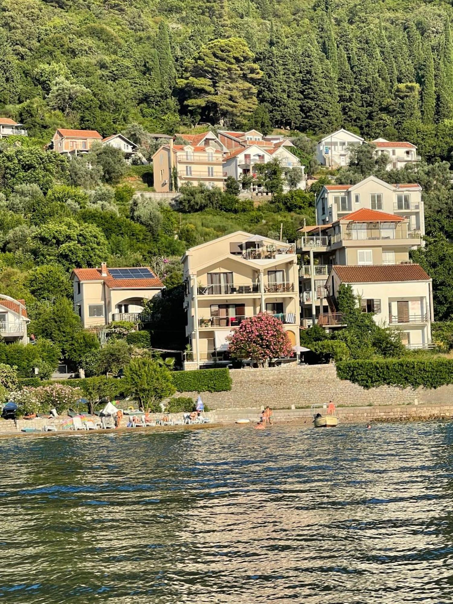 Maxhit Tivat